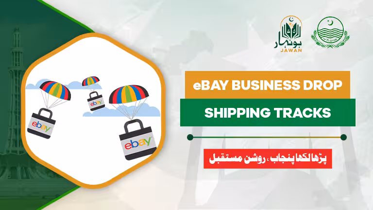 eBay Business Dropshipping Tactics